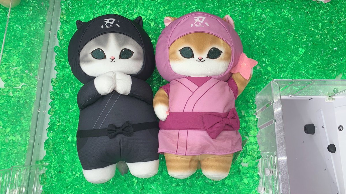 mofusandぬいぐるみ写真の19つセット mofusandぬいぐるみ写真の19つセット