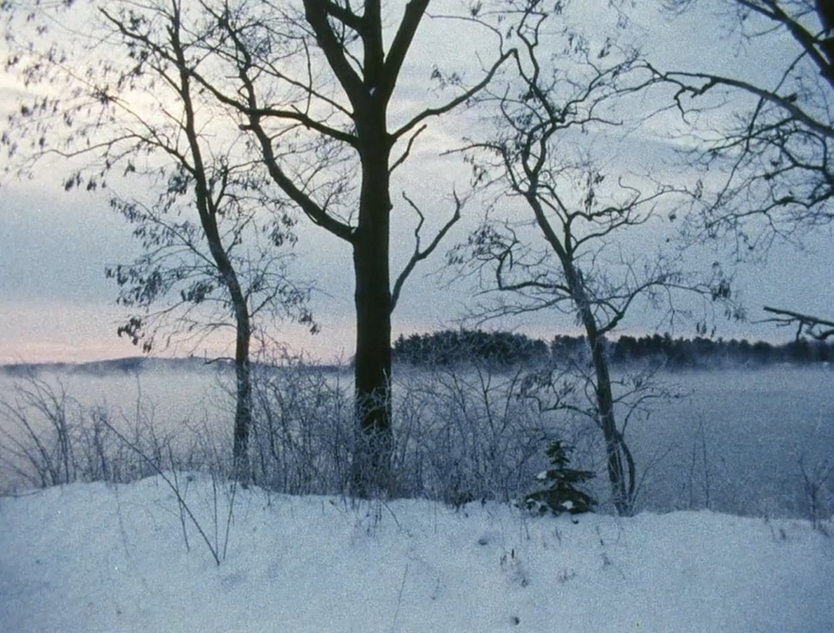 chillviaofarc's tweet photo. Landscape Suicide (1986) - James Benning https://t.co/7Ag4ZB7GNx