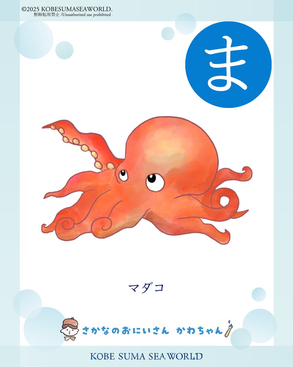 タコの赤ちゃん まめゴマ 71I0U6yHpUL._UF350,350_QL50_.jpg