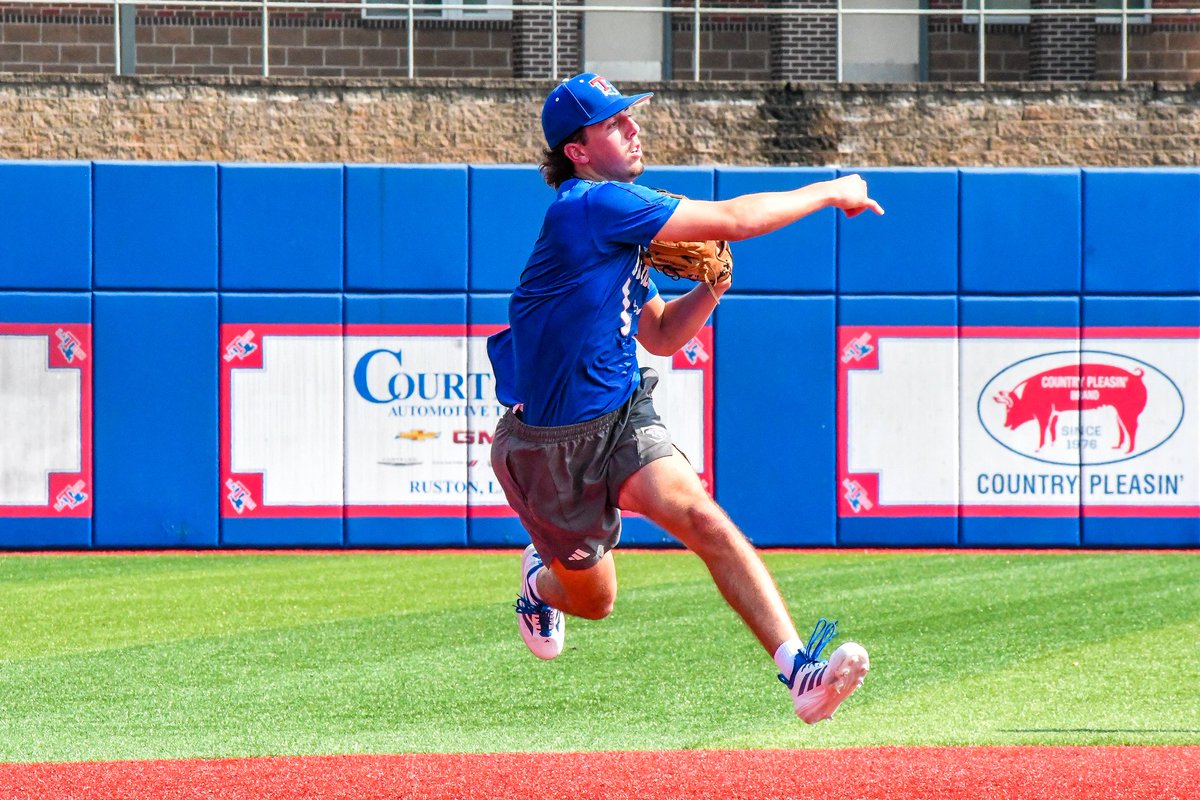 Diamond Dogs tweet media