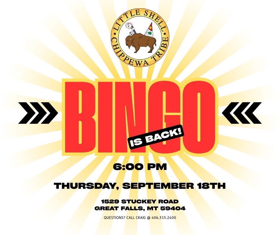 MTLittleShell's tweet image. #LittleShell #Bingo Nights are back!