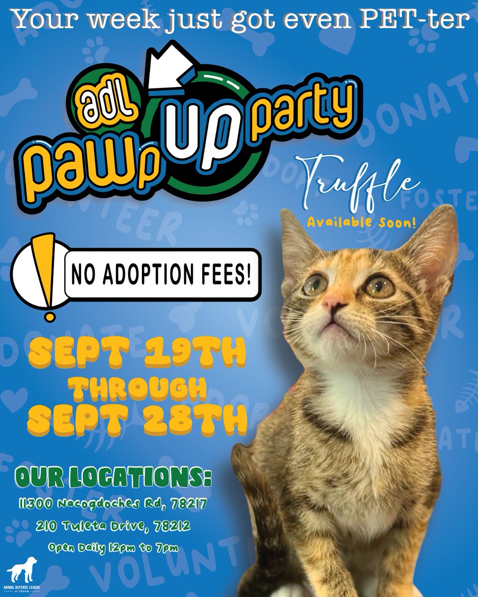 Your week just got even PET-ter! 🎉 
Join us for ADL’s Paw-p Up Party...NO adoption fees Sept 19–28! 
Find your new furry bestie at either of our locations and bring home a lifetime of love. 💛
Open Daily | 12 PM – 7 PM ‼️