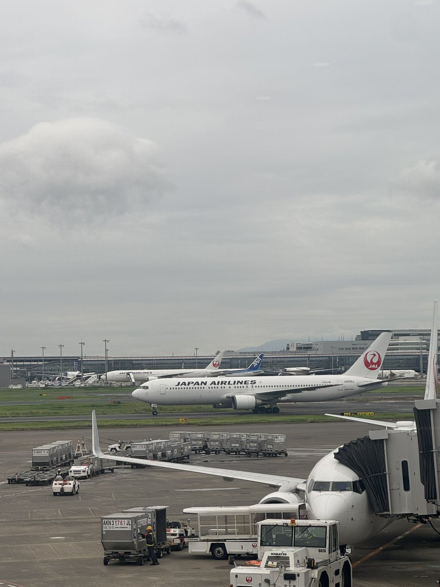 manachin214's tweet photo. JAL
宜しくだよ👍🏾

遭遇率0.03%？の離陸中止（離陸急停止）を体験してからちょっとトラウマ

早く着き過ぎて逆にドキドキ。
今回は乗り継ぎもあるからね✈️🙏 https://t.co/cM5TBDFJIv