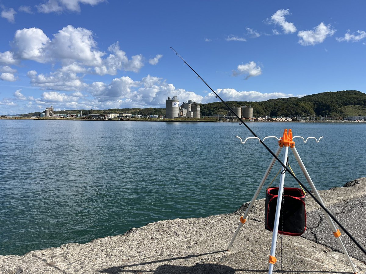 本日はのんびりとシャコ釣り🎣