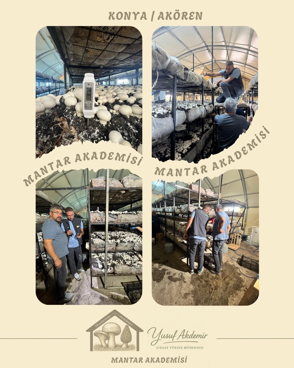 🍄Çalışmalarımız Devam Ediyor.🍄

📍#akören

Kültür Mantarı

MAŞALLAH 👏👏👏

Tüm Üreticilerimize Hayırlı Helal Bol Kazançlar Dilerim.

#mantar #mushroom #tarımşehri #tarım #konya