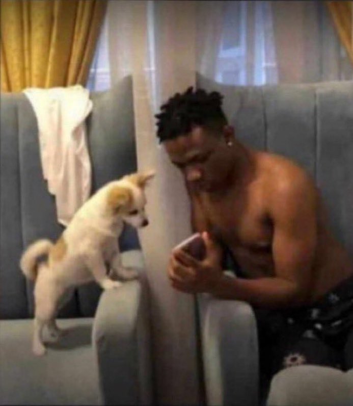 See how we enjoy X when you are on TikTok shouting.