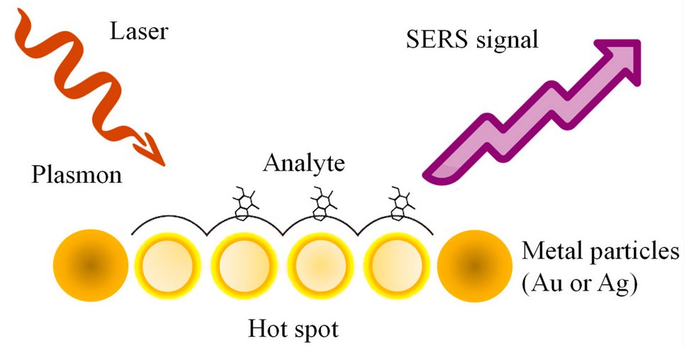 Sensors_MDPI's tweet image. Trends and Advances in Wearable Plasmonic Sensors Utilizing Surface-Enhanced Raman Spectroscopy (SERS): A Comprehensive Review
mdpi.com/1424-8220/25/5…
#wearable_plasmonic_sensors #surface_plasmon_resonance