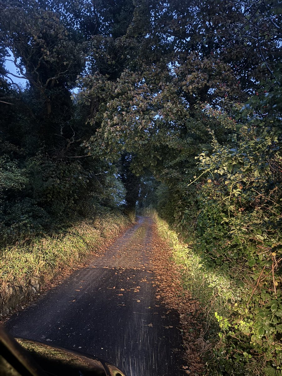 Dirty wet start to the day in this little corner of the world