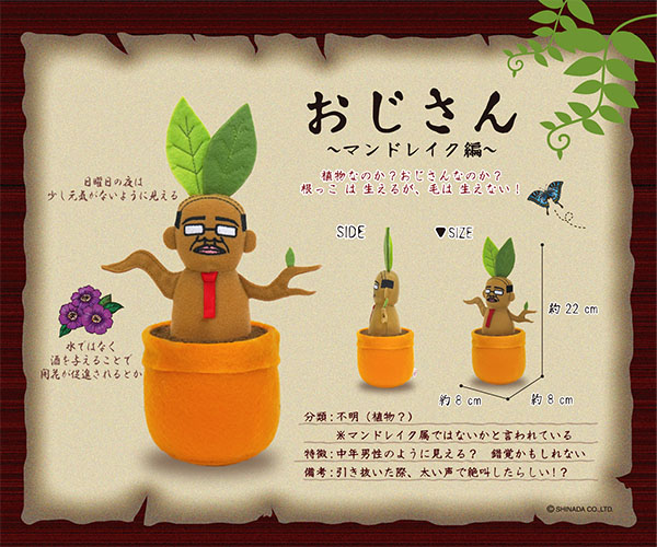 foo..（シナダ直営店） on X