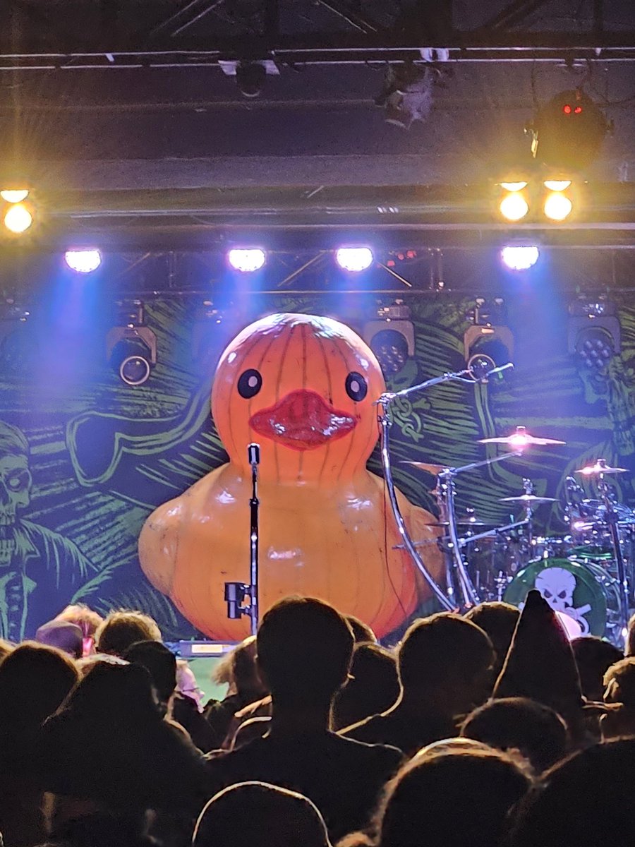 Holy shit! Seeing <a href="/AlestormPirates/">Alestorm</a>, <a href="/gloryhammer/">Gloryhammer</a>, and <a href="/GlyphMetal/">GlyphMetal</a> live in Grand Rapids was amazing! 
If you ever need a bagpiper, hit me up!