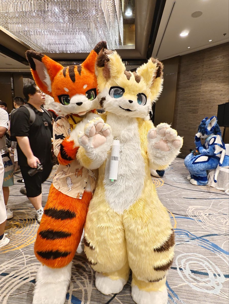 小猫咪
<a href="/Flameheart_89/">Yan-焰心/茶介</a> 
 #FursuitFriday