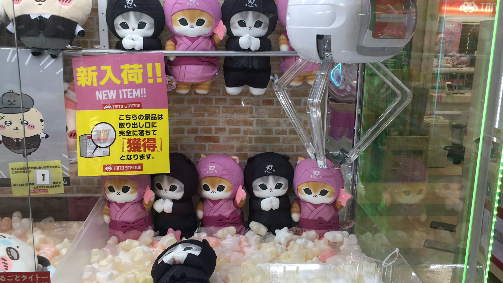 ぬいぐるみ　まとめ売り！！ セキグチ公式オンラインショップ on X: 