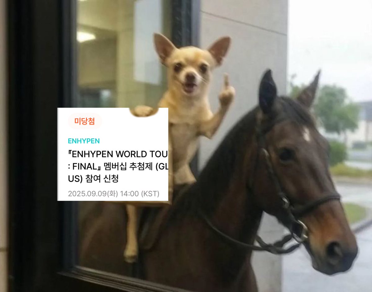 응 안가면되