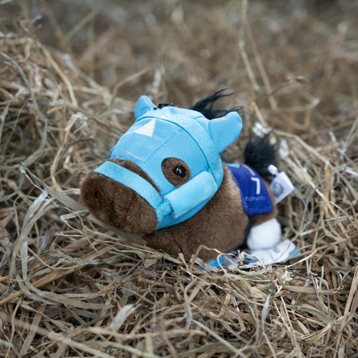 🎉【再販開始のお知らせ】🎉 大人気「ちぃぐるみ」がついに再入荷しま