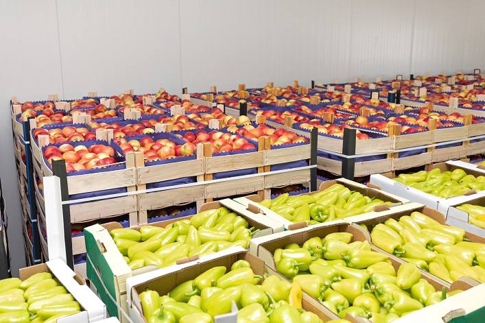 theUBN's tweet image. The state plans to issue grants for building #VegetableStorage facilities in #Ukraine. The Ministry of Economy suggests expanding the program "Providing grants for the creation or development of a business" with annual funding of ₴200M for this purpose. Ukraine needs storage