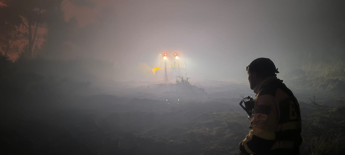 BRIF TABUYO tweet media