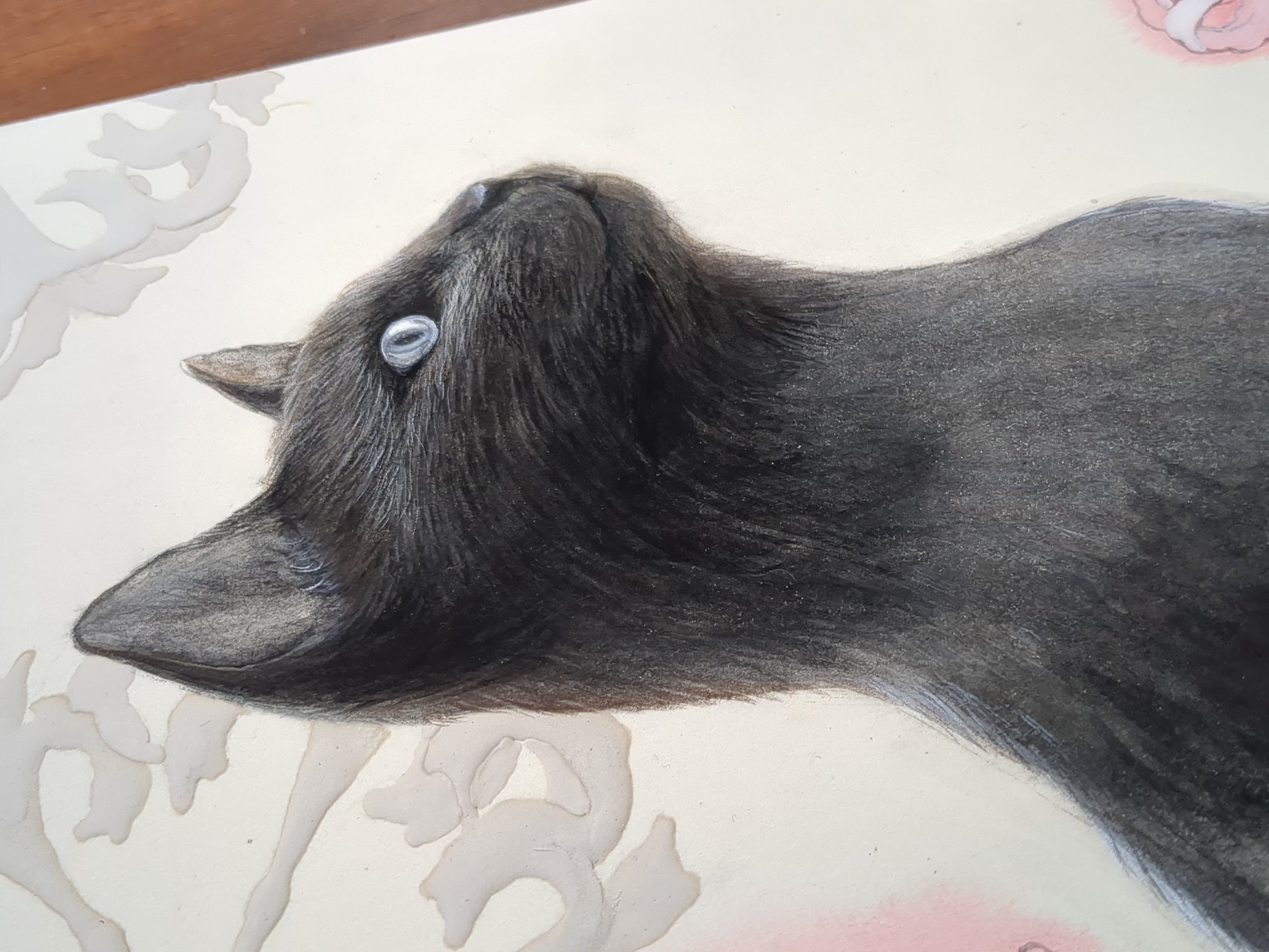 ♡黒猫( ΦωΦ )♡とまとめ 黒猫@*games+* 🎮🐈‍⬛ on X: 