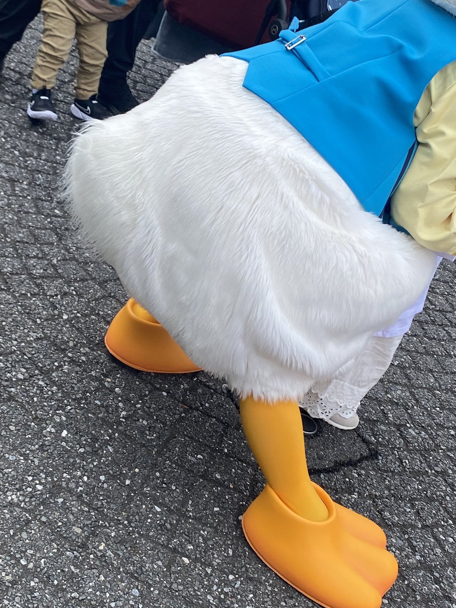 ケツ