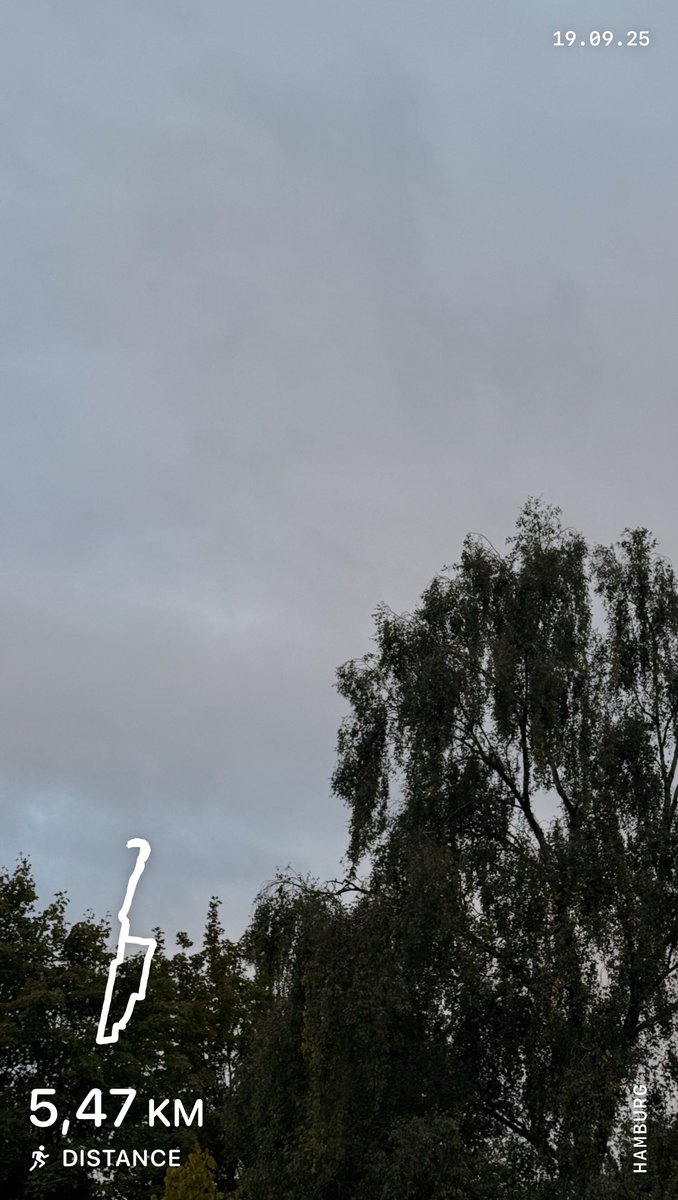 Pfützen-Lauf 🏃‍♂️ 
#sport #run #lauf #heldenchaos