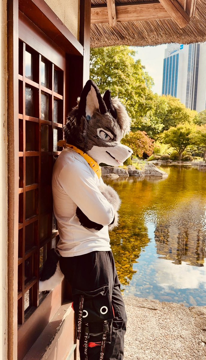 Psssst… I’m hungy and I need sneks, do you have any? 

#FursuitsFriday