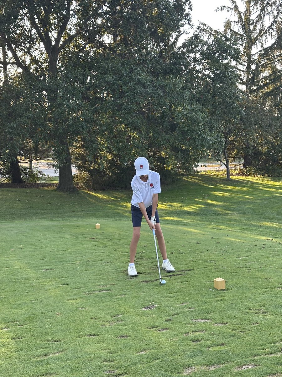 Saint Viator Boys Golf tweet media