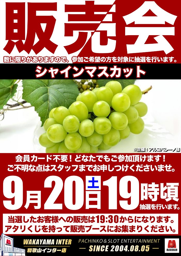 こんばんは⭐️
マルハン和歌山インター店です！

🌈9月20日【土】
🌈あさ10時オープン
🎁19時頃販売会開催予定
👑役職者ブログ更新
ameblo.jp/maruhan-wakaya…
🔺🔺ぜひ、ご確認下さい🔺🔺

朝の入場抽選は9時50分開始💨
皆様のご来店お待ち致しております💯