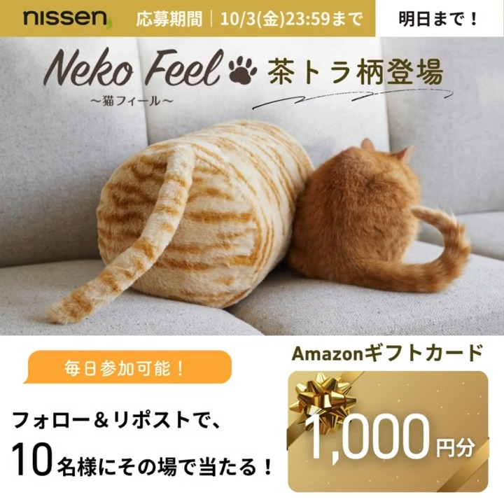 幸せの茶トラ 幸せの茶トラ 茶トラ源次郎 (@minamoto.26_kappa) • Instagram