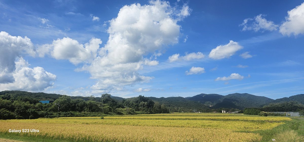 すばらしいお天気です
シアワセ