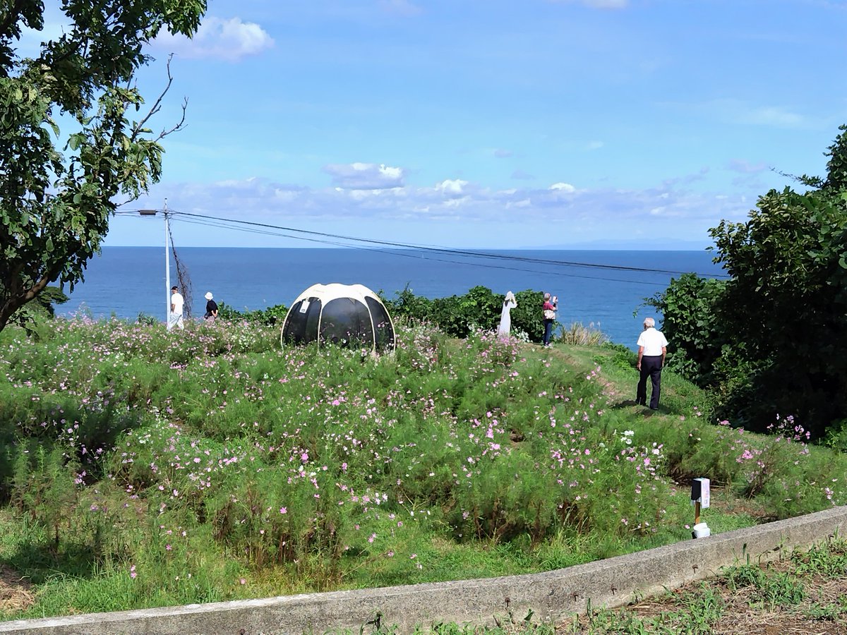 新聞効果絶大です!