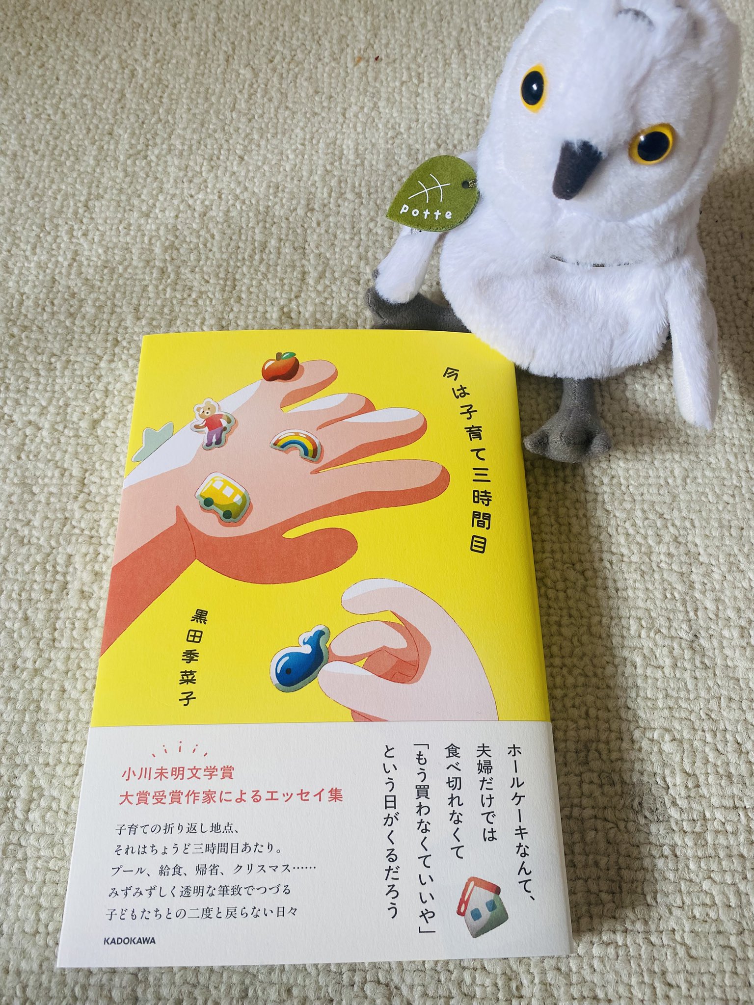 きなこページ super-foods-japan_sfakb001