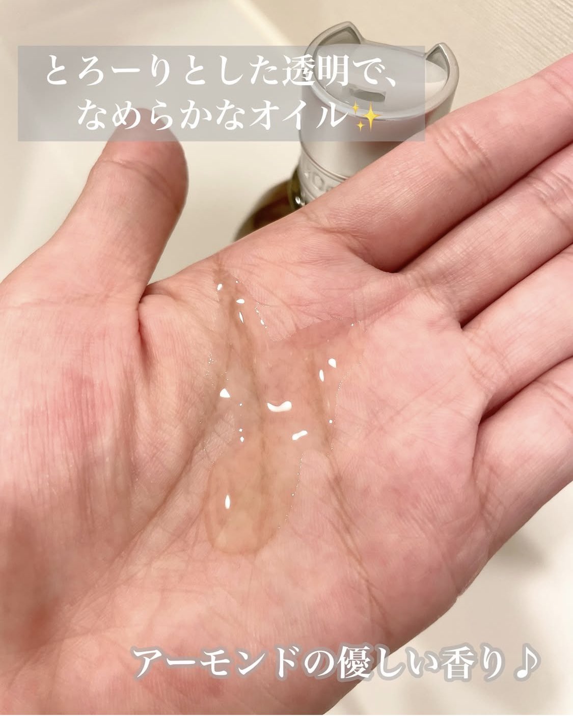 サンロクシタン JPOCVKIE01418.png