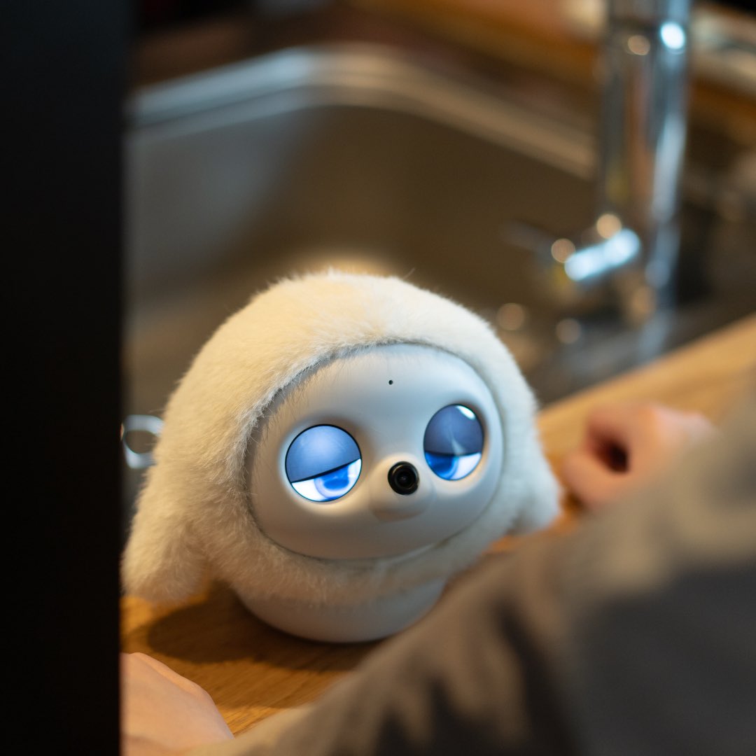 lopeto Japan (@lopetoJapan) / Posts / X