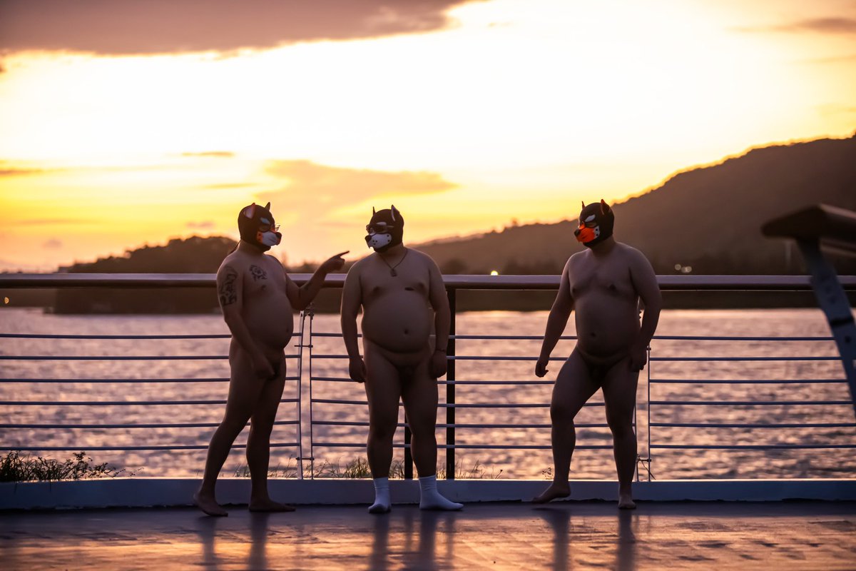 天体茶会 tweet media