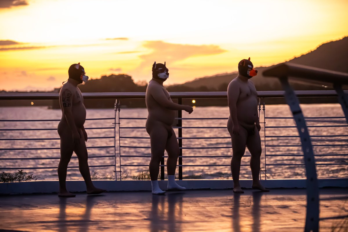 天体茶会 tweet media