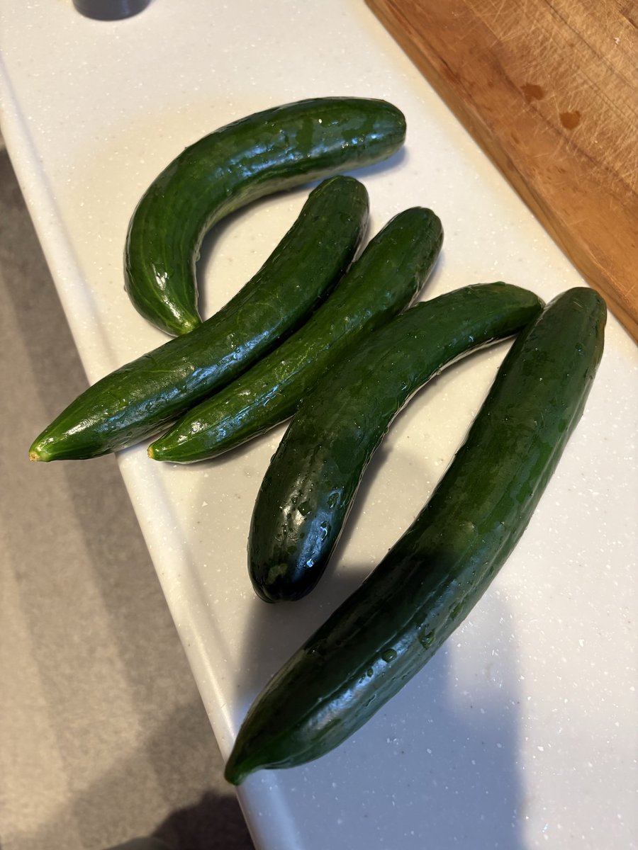 昨日も採れた🥒消費が追いつかない(笑)
ぬか漬けとピクルスとキムチ作ってサラダでも食べたよ〜笑
#家庭菜園　#きゅうり
