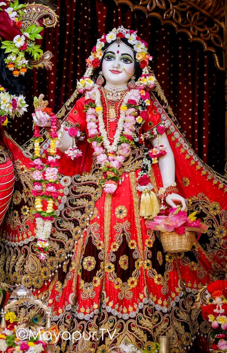 hari_priye_'s tweet image. Jai Shree Radhe 🪷