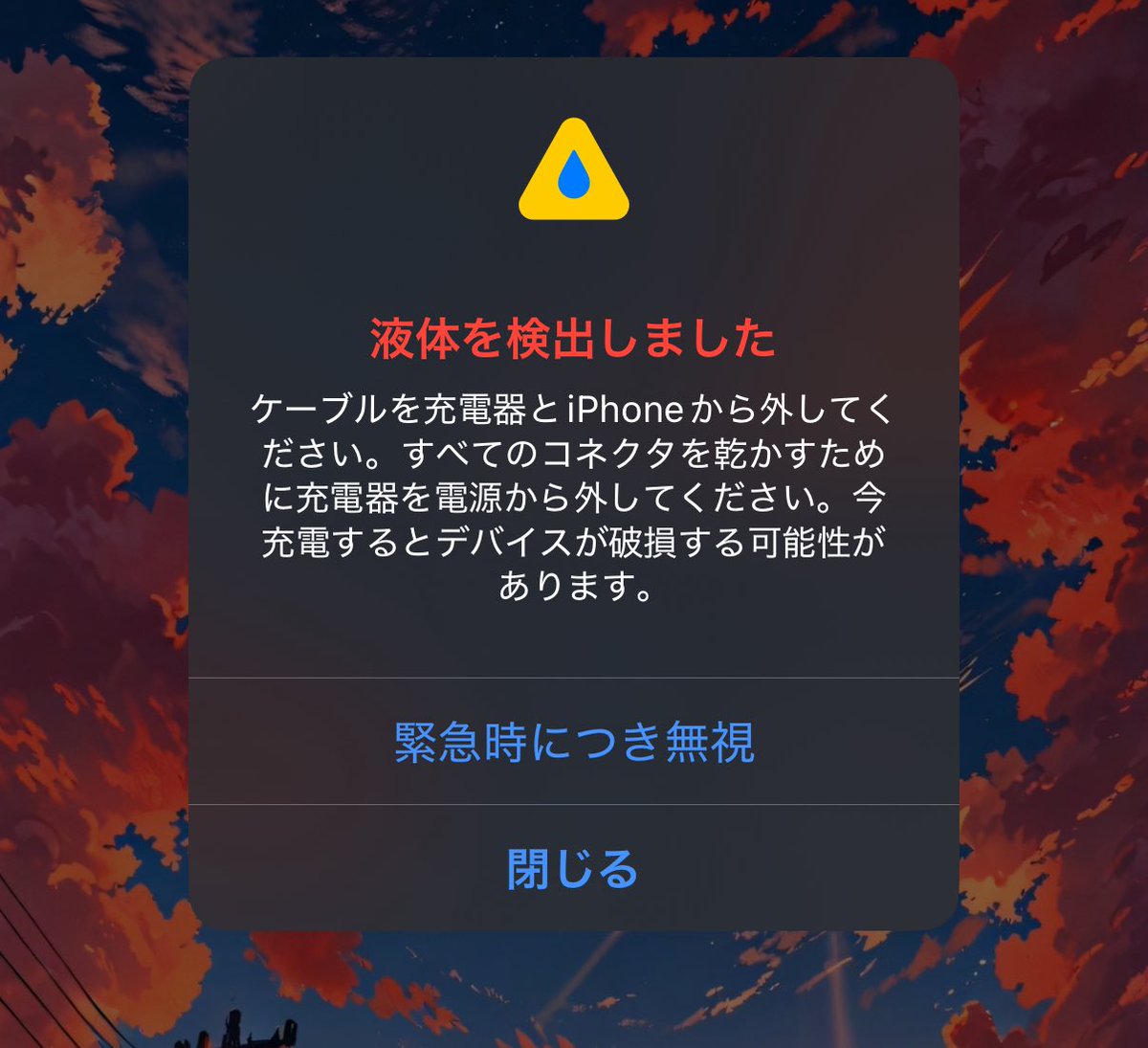 じーぷろ tweet media