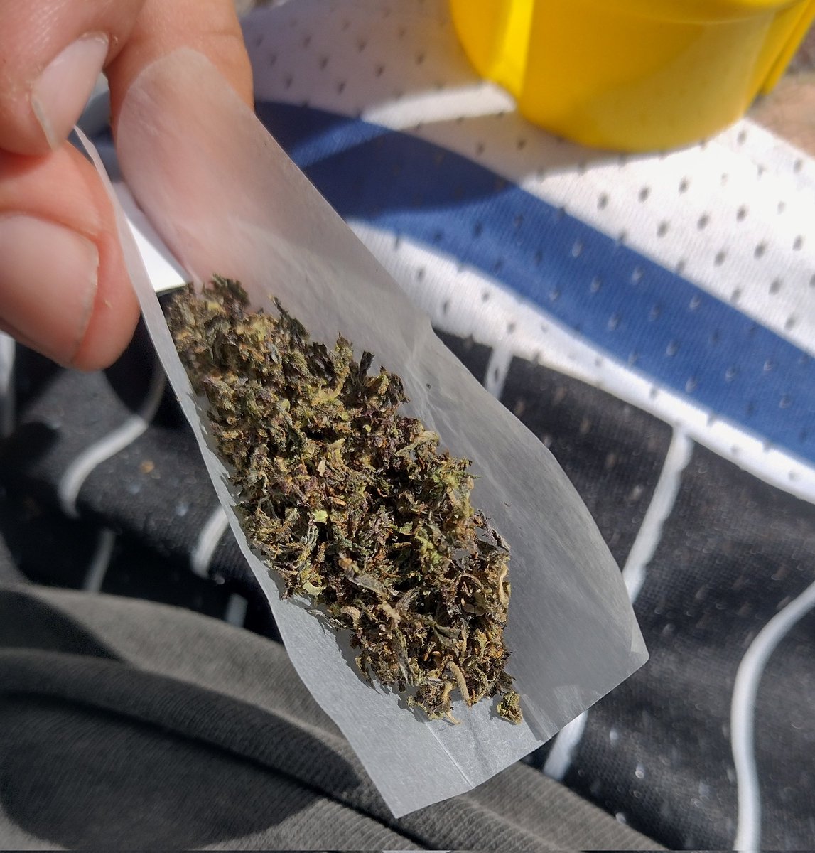 Uno de hoy aprovechando el sol