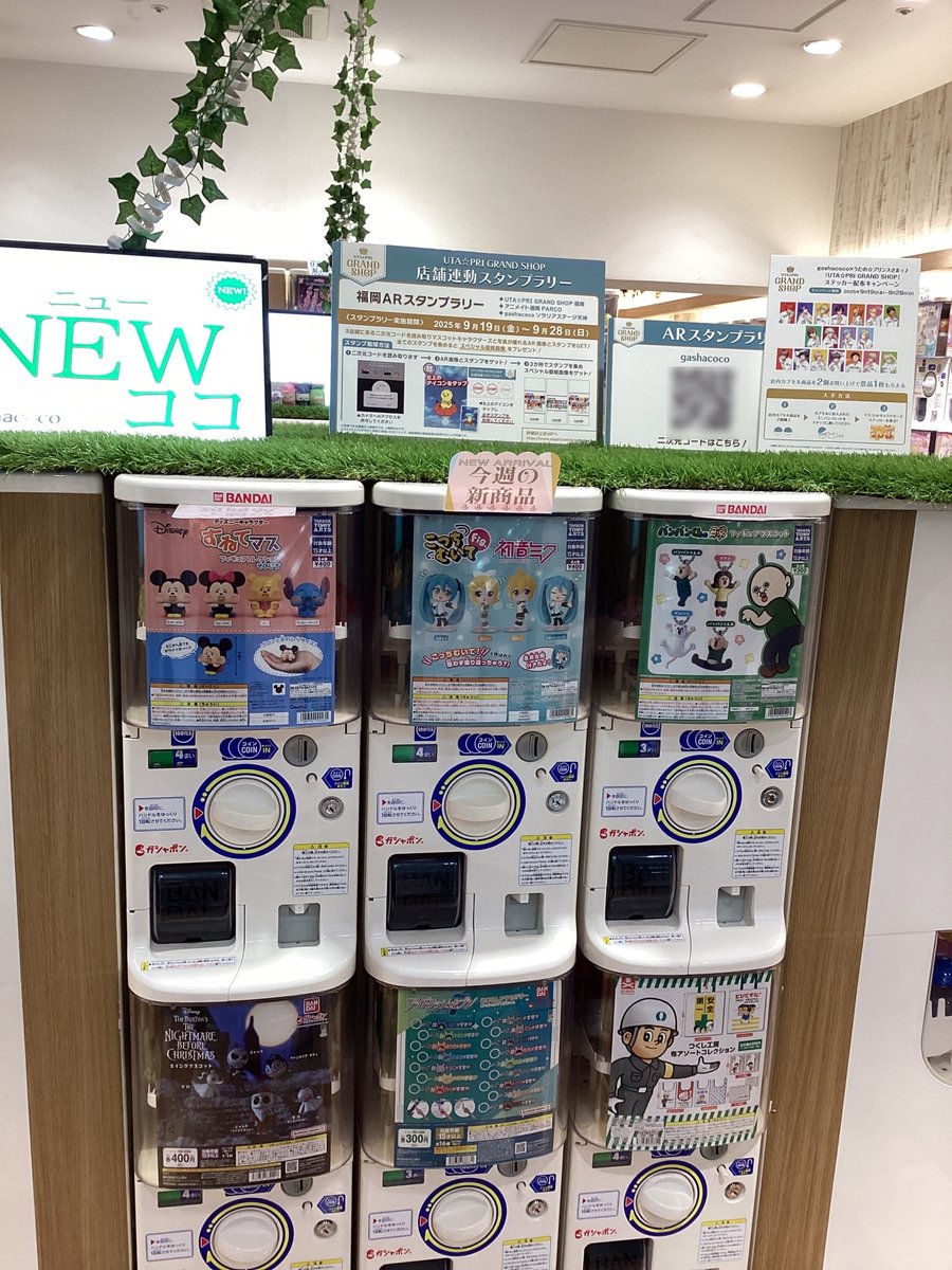 本日限定♡超レア♡でっカプリコ♡限定3000個 カプリコのレア！確率約20％のカプすけくん！ | 部長夫人の節約