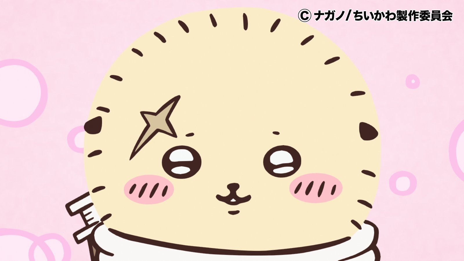 ちぃわわ maxresdefault.jpg