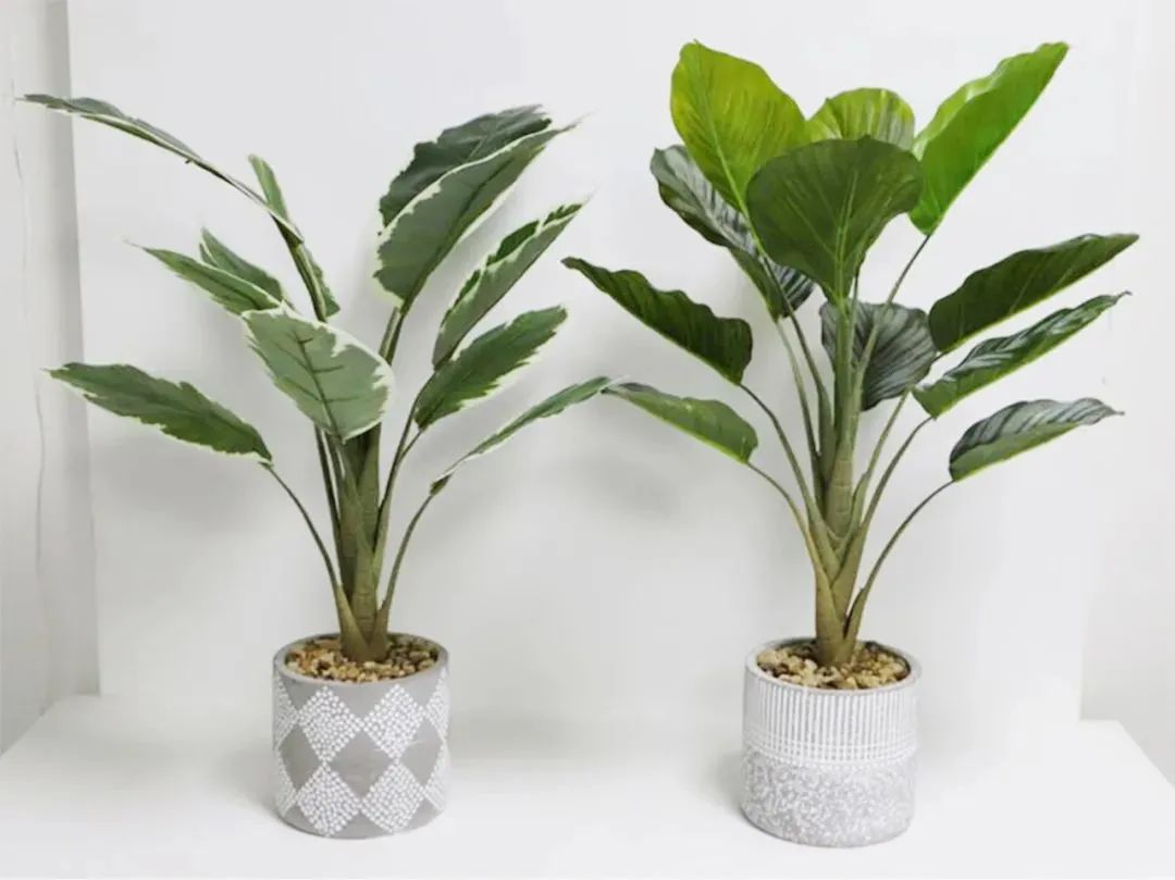 homegarden_fair's tweet photo. 👏Fujian Dehua County Gongxing Crafts Factory

🌿 Artificial plants, flowers, leaves, trees
 Ceramic basin, cement basin, plastic basin
🌱 Clean and tidy working environment

Pre-register FREE : https://t.co/osrcC5Qwsy

#Guangzhou #CantonFair #LIC #HomeAndGarden #ArtificialFlower https://t.co/aWHPraASM1