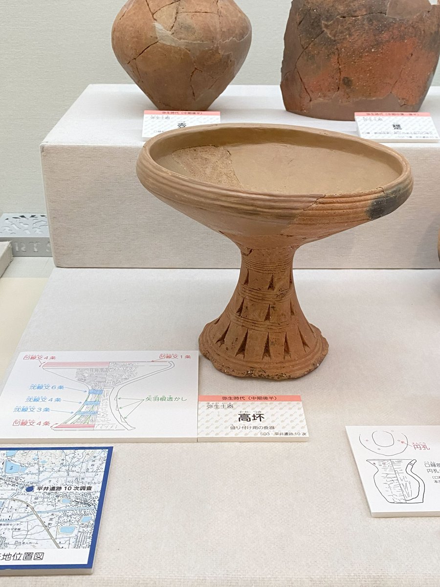 掘ったぞな松山展示紹介⑪ 平井遺跡10次調査 高坏（弥生土器） 弥生