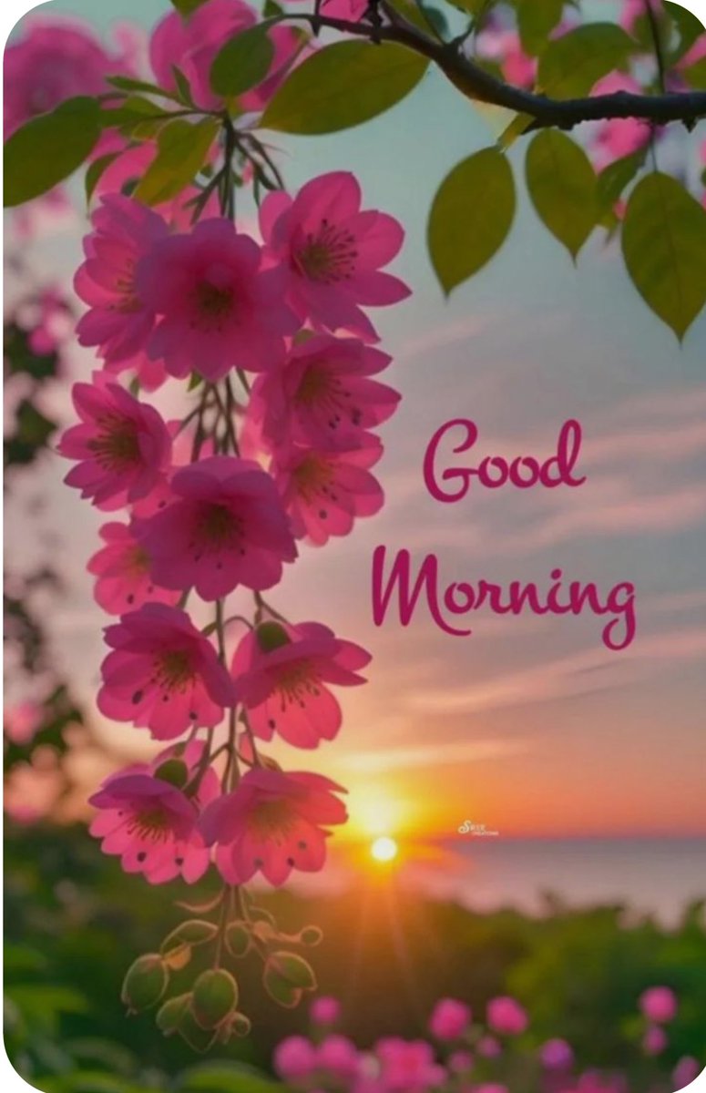 जिन्दगी में इतना खुश रहो कि आप को देख कर किसी और की सुबह खुशनुमा हों जाए !!
Good morning