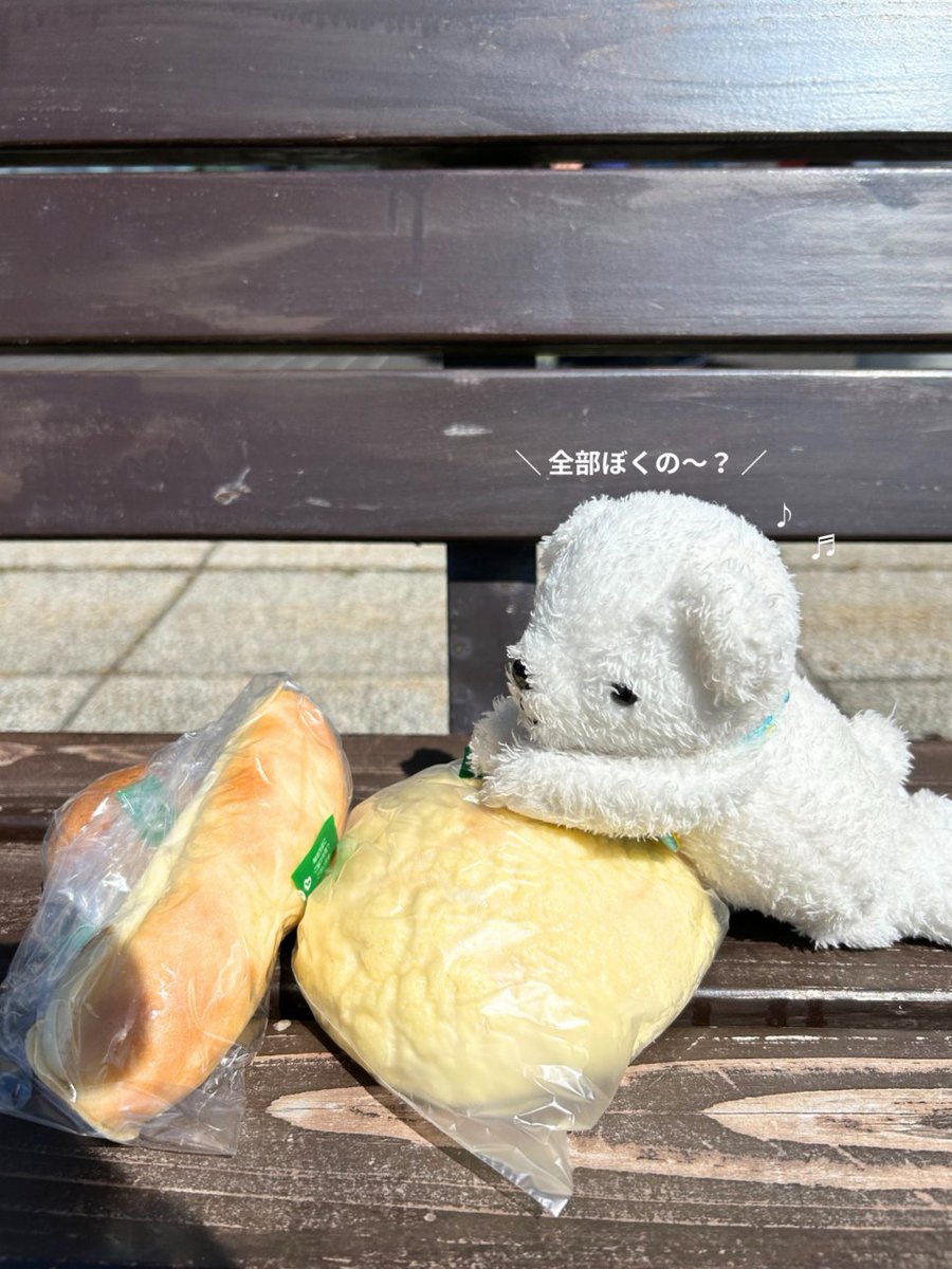 くまきちページ くまきち (@kmakici) / X