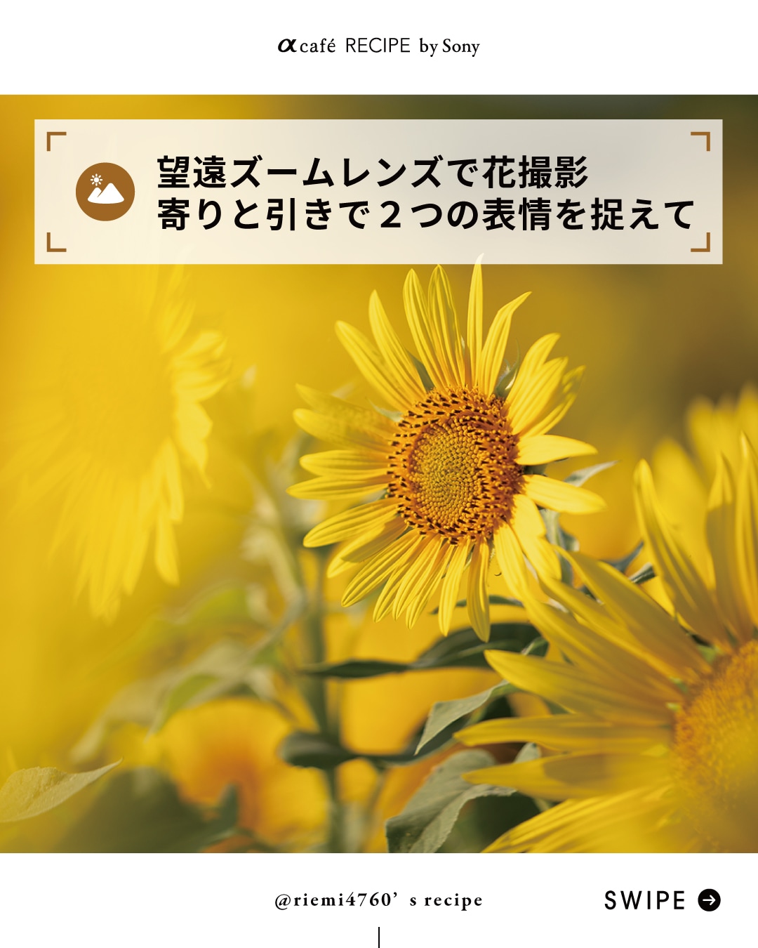 ❤即購入1000円OFF❤ソニー SONY α550 超美品 ショット数873