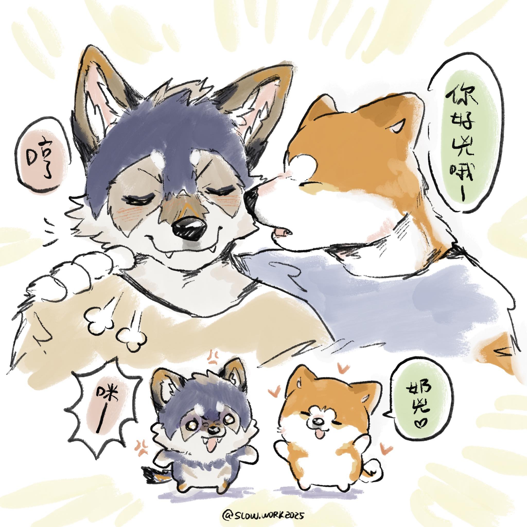いぬ好き(ง ᵕωᵕ)ว♪ 赛博修仙中on X: 