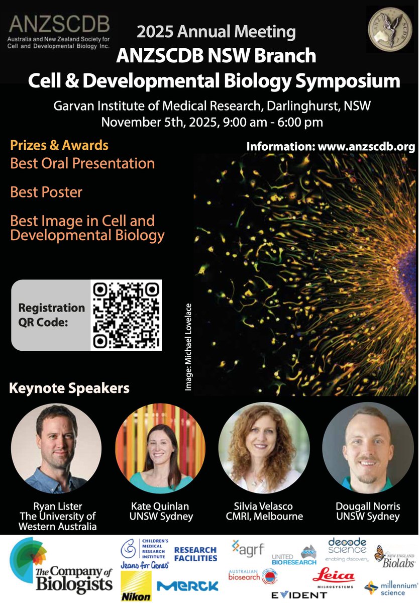 QianPeterSu's tweet photo. 📢Please SAVE the DATE: Join us for the 2025 @ANZSCDB  NSW Branch Cell &amp; Developmental Biology Symposium
📍 Garvan Institute, Sydney
🗓️ Wed 5 Nov 2025 | 9am – 6pm
🎤 Keynotes: @dougall_norris, @KateGQuinlan, @SilviaM_Velasco and @ry_lister
🏆 Prizes for best oral, poster &amp; image https://t.co/CQEQxMxVvo