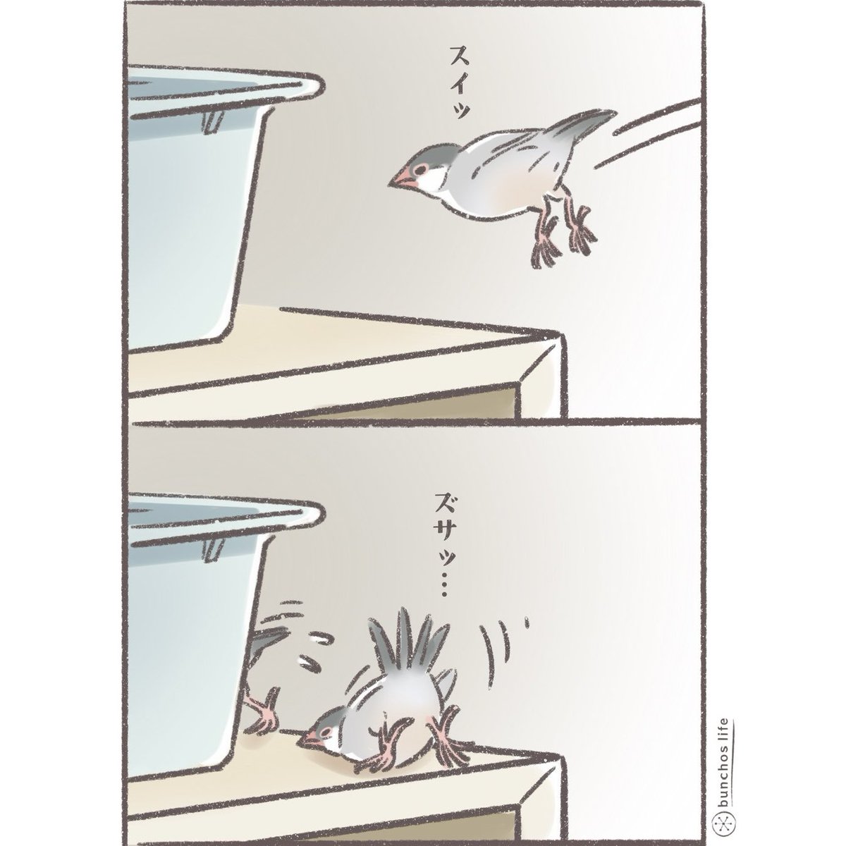 完璧すぎる八つ当たりw
#文鳥 
#4コマ漫画 