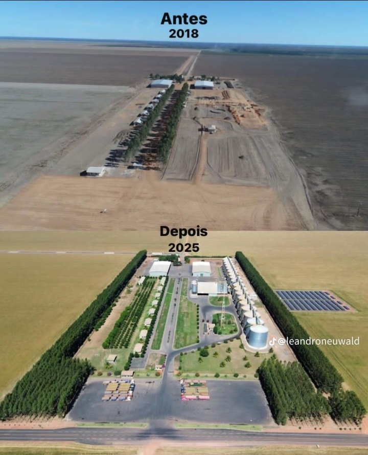 Si al campo le sacan las retenciones se fugan los dólares. 

El campo en nuestros países competidores sin retenciones.
👇🏼