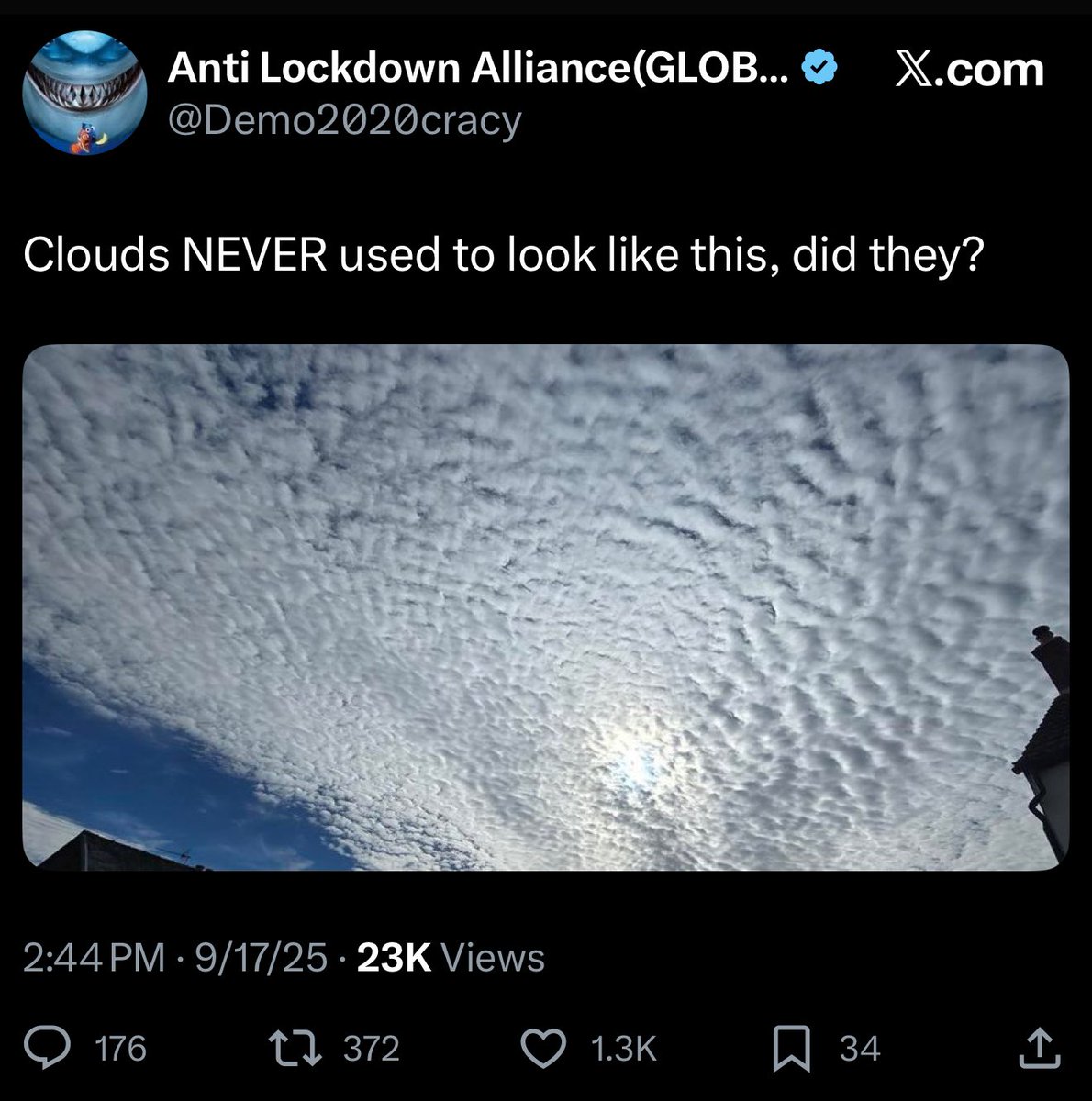 Official Bad Weather Takes tweet media
